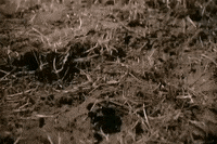 episode 1 GIF by The X-Files