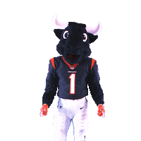Football Swipe Up Sticker by Houston Texans