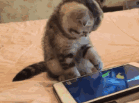GIF by Demic