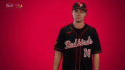 illinois state mvc GIF by Missouri Valley Conference