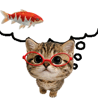 Cat Want Sticker