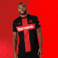 Bayer 04 Win GIF by Bayer 04 Leverkusen
