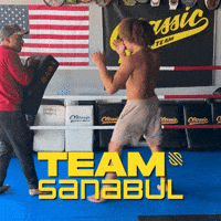 Mma GIF by Sanabul