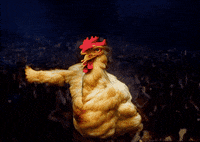 Animated GIF