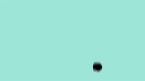 skeenastrong giphyupload bear canada bc GIF