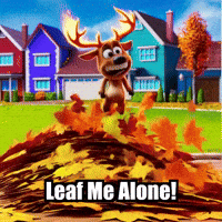 Fall Autumn GIF by elkijahspark