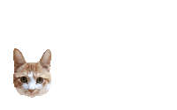 Cat Rainbow Sticker by Instagram Tag In Virtual GIF Booth