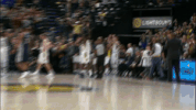 lance stephenson celebration GIF by NBA