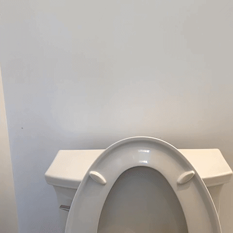 Shitter's Full