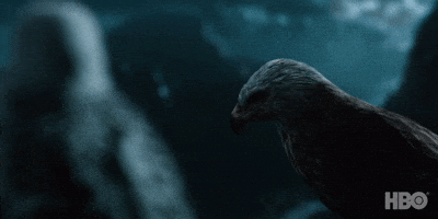 Everyone Should Be Angry