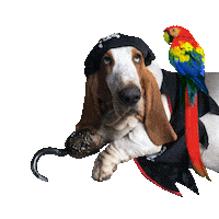 Basset Hound Captain Sticker