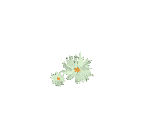Vintage Flowers Sticker