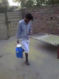 tea GIF