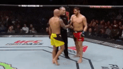 ufc 210 GIF