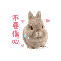 Vplab Sticker by ltudcd