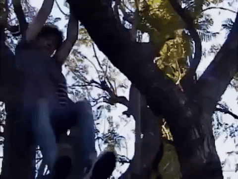 Music Video Anyone Else GIF by Joshua Bassett