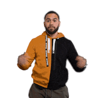 P4L Sticker by Emile Machado