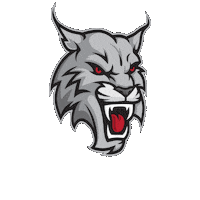 AberdeenLynx ice hockey team logo aberdeen lynx scottish ice hockey Sticker
