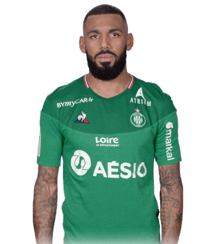 Asse Teamasse Sticker by AS Saint-Étienne