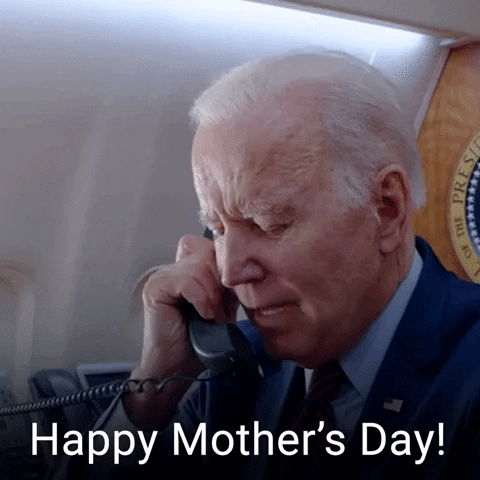 Joe Biden Day GIF by The Democrats