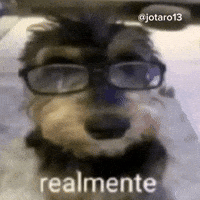 Jotaro13 GIF