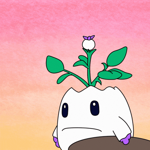 Drunk Over It GIF by Magic Eden