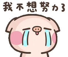 Cry Pig Sticker
