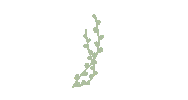 Plant Sticker
