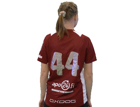 Floorball Salibandy Sticker by F-liiga