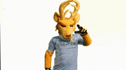 GIF by Venados FC