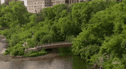 Bachelorette Michelle GIF by The Bachelorette