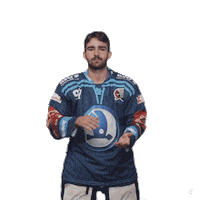 Hockey Applause Sticker by HC Škoda Plzeň