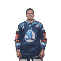 Hockey Thumbs Up Sticker by HC Škoda Plzeň