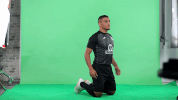 GIF by IPFL
