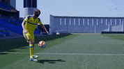 mta sherran yeini GIF by IPFL