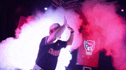 Nc State Baseball GIF by NCAA Championships
