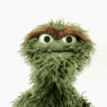 Not Funny Lol GIF by Sesame Street