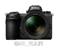 Nikoninstabadge Z6 Sticker by NikonIndia