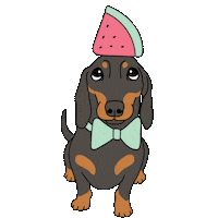 Sausage Dog Watermelon Sticker by Love Harlso