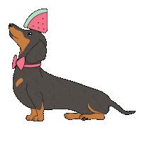 Dogs Watermelon Sticker by Love Harlso