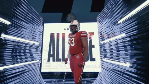 College Football GIF by gamecocksonline