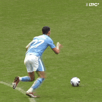 Premier League Football GIF by Luton Town FC