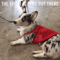 x files archie GIF by GIPHY CAM