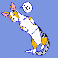 cardigan welsh corgi sleeping GIF by NeonMob