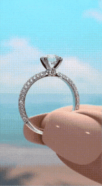 Wedding Love GIF by Shiv Shambu