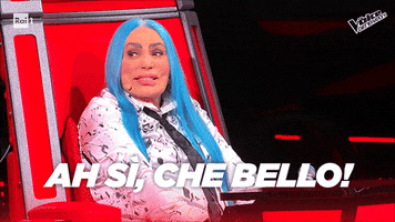 Top Bello GIF by The Voice of Italy