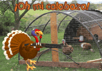 American Football Thanksgiving GIF