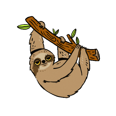 Sloth Hanging Sticker by Carly Berry
