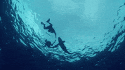 go away no GIF by Shark Week