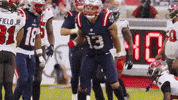 Mack Hollins Football GIF by New England Patriots